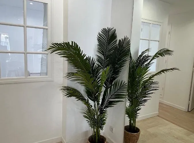 3p Refait A Neuf - Parking L430cm X W275cm Apartment *